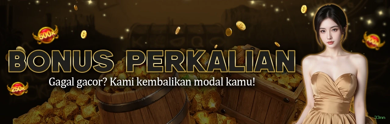 Download PC 33nn
